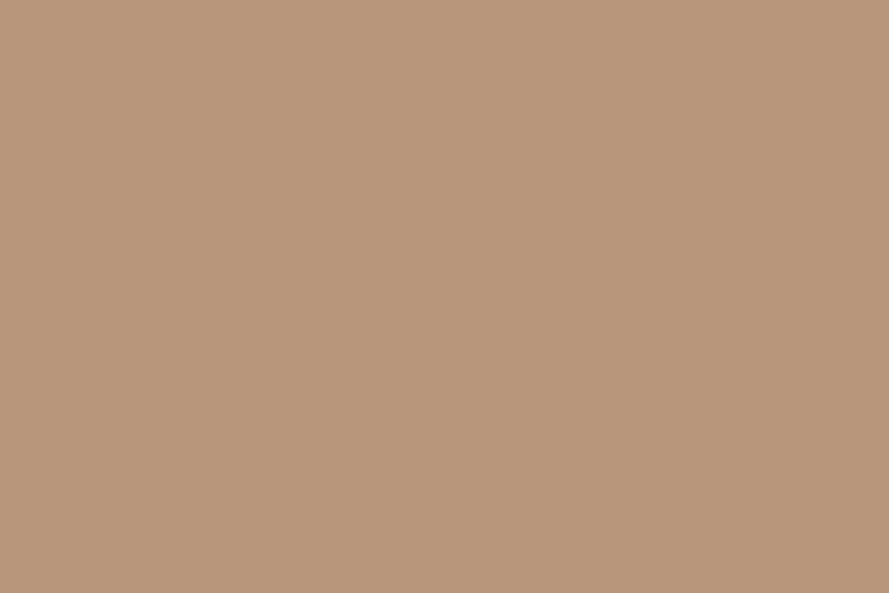 Fond papier studio photo et vidéo Beige 25 · Rouleau 1,35 × 5 m